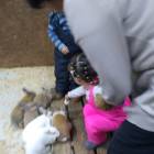 IMG_20171102_155756