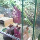 IMG_20171102_155327