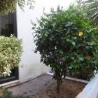 DSC06334.JPG