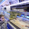 DSCN1161.JPG