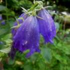 DSCN0315.JPG