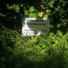 DSCN1591.JPG