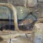 IMG_20171112_185147
