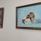 IMG_20181124_113708