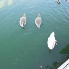 DSCN4585.JPG