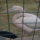 DSCN4962.JPG