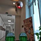 IMG_20181124_114346