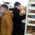 Альметьевский хлебозавод102382
