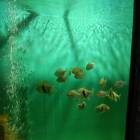 IMG_20171112_185232