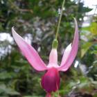DSCN4809.JPG