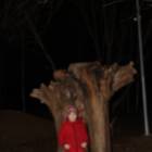 IMG_5483.JPG