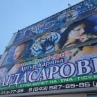 Цирк Карины и Артура Багдасаровых133990