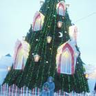 DSCN6857.JPG