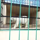 DSC05936.JPG