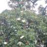 2013 023.JPG