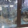 IMG_20160324_150152