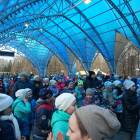 дружно на зеленый фитнес90269