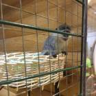 Трогательный зоопарк.93814