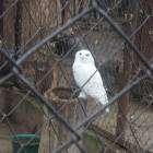 DSCN4977.JPG