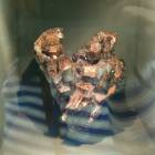DSCN8535.JPG