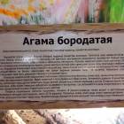 КК№46.Парк тропических бабочек.62358