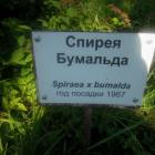 DSCN1639.JPG