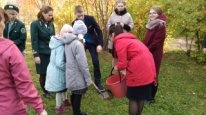 День посадки леса.