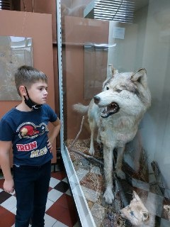 Культурный дневник школьника