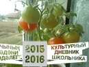Сөйкемле әнием.