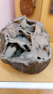 Культурный дневник школьника