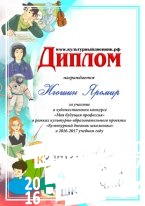 Моя будущая профессия