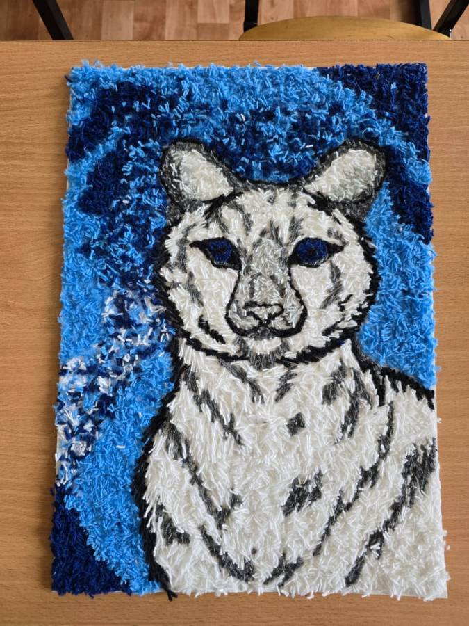 День Снежного Барса!