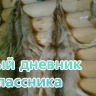 Музейда нәрсәләр генә юк.