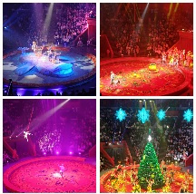 Цирк "Конек-Горбунок"