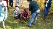 День посадки леса.