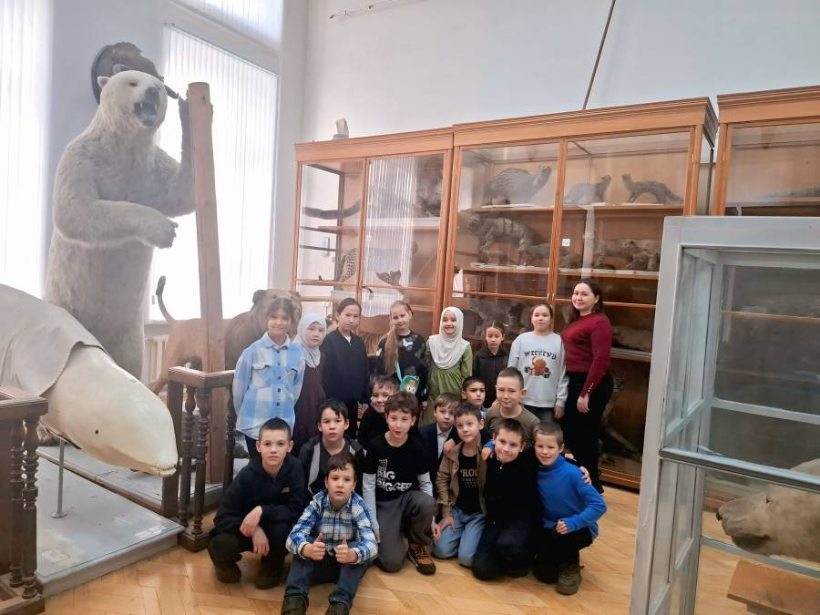 Расширяем представление о биологическом разнообразии, сформировываем бережное отношение к животному миру