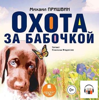 Слушаю аудиокнигу "Охота за бабочкой"