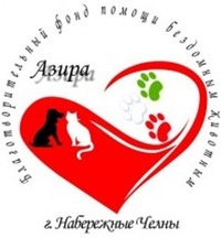 Приют для собак Азира