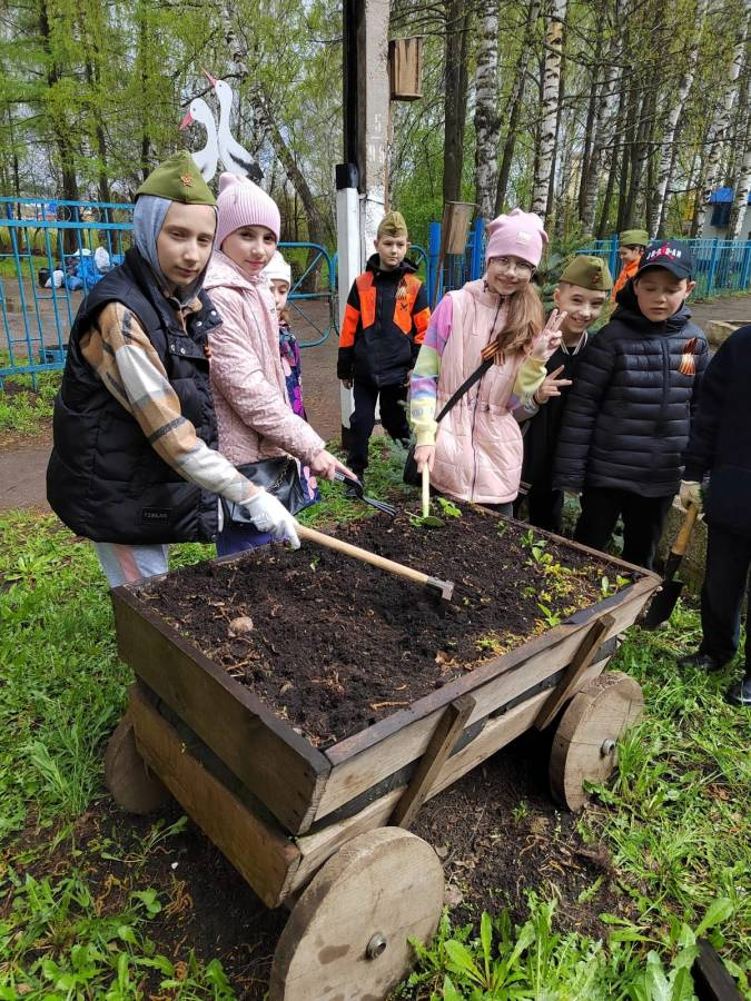 Посадка цветов в школе