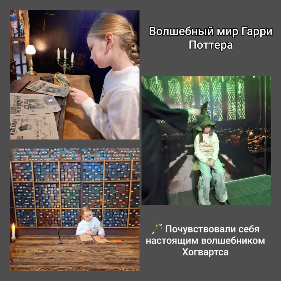 Волшебный мир Гарри Поттера