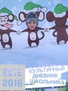 Мои зимние развлечения