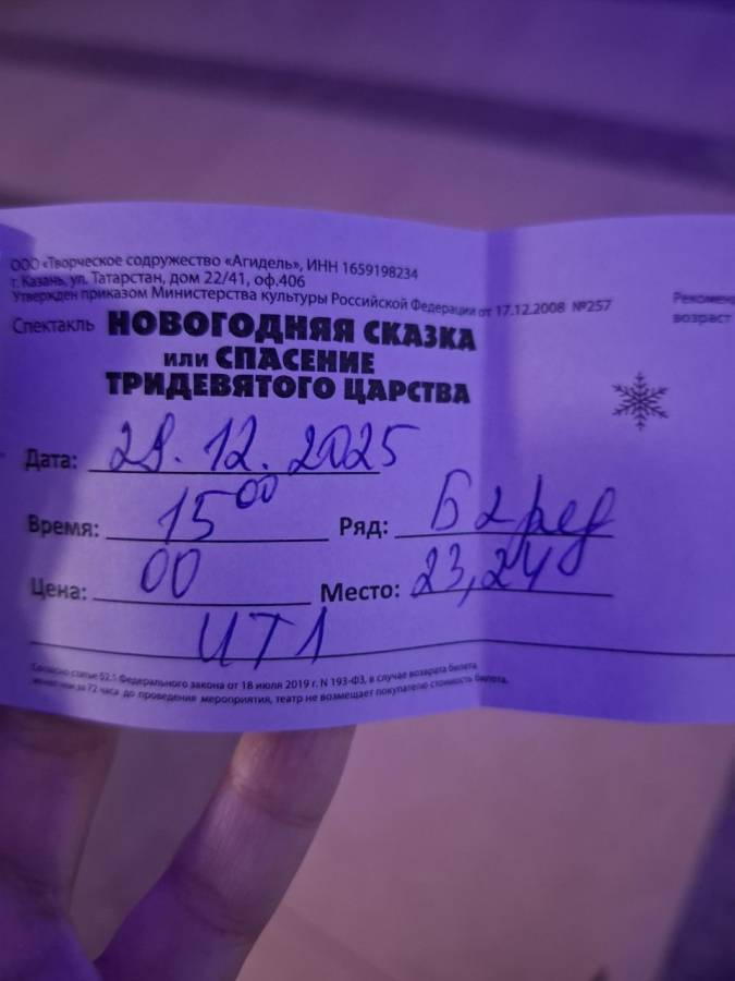 Новогодняя сказка или Спасение тридевятого царства