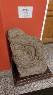 Культурный дневник школьника