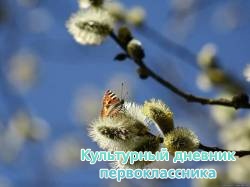 табигать