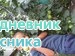Отдыхаю
