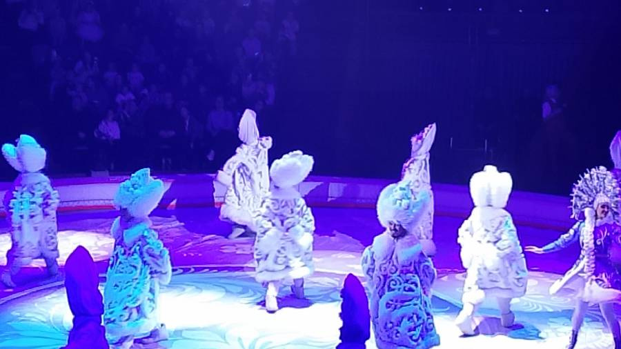 Цирк " Конёк Горбунок"