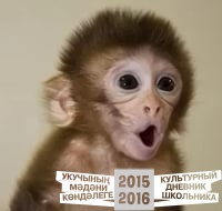 Год обезьяны