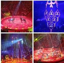 Цирк "Конек-Горбунок"