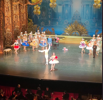 Спящая красавица