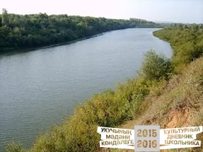 Лилия Садриева "Ыкта боз киткән диләр"